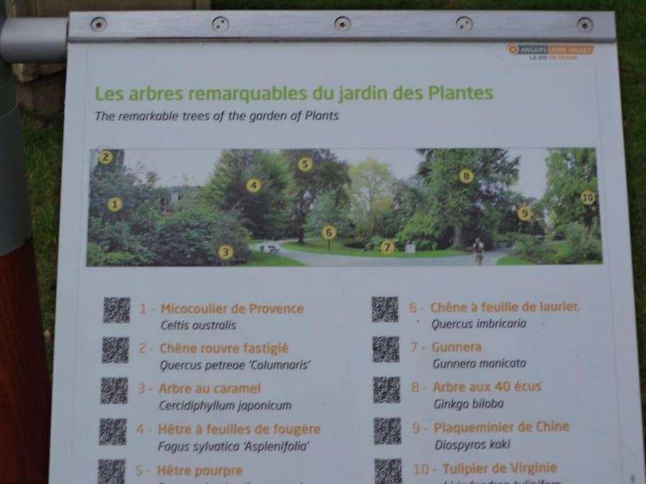La Bergerie Angers Centre Ville מראה חיצוני תמונה